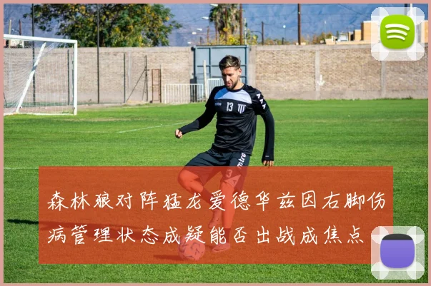 森林狼对阵猛龙爱德华兹因右脚伤病管理状态成疑能否出战成焦点